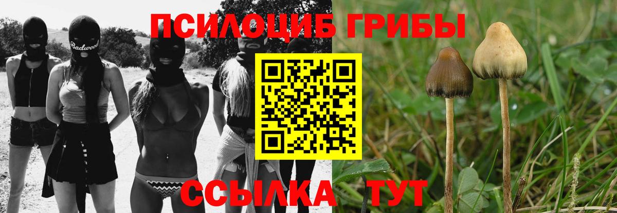 Галлюциногенные грибы MAGIC MUSHROOMS Амурск